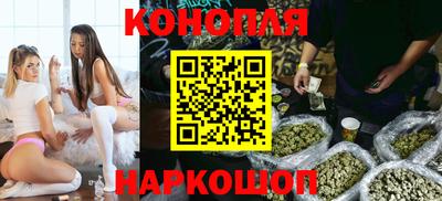 прущие грибы Лесосибирск