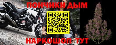 прущие грибы Лесосибирск