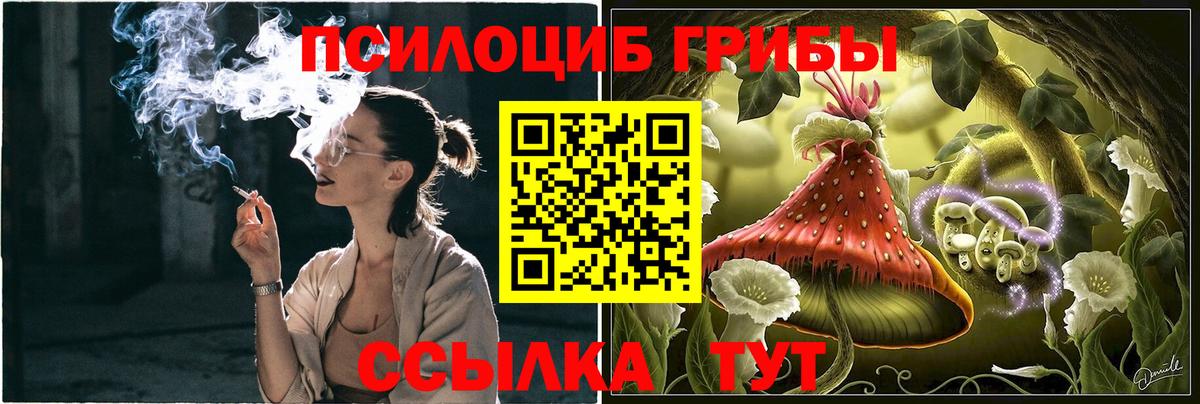 Галлюциногенные грибы мухоморы  Галлюциногенные грибы Cubensis  Щёлково  Вход с VPN 
